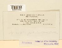 Arthuriomyces peckianus image