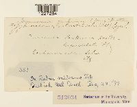 Arthuriomyces peckianus image