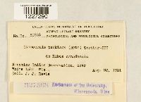 Arthuriomyces peckianus image