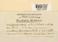 Arthuriomyces peckianus image