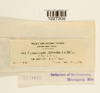 Image Associated With the Occurrence