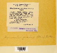 Arthuriomyces peckianus image