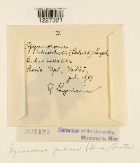 Arthuriomyces peckianus image