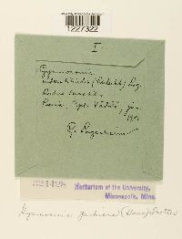 Arthuriomyces peckianus image