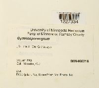 Image Associated With the Occurrence