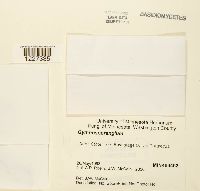 Image Associated With the Occurrence