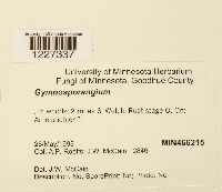 Image Associated With the Occurrence