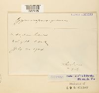 Image Associated With the Occurrence