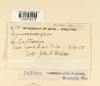 Image Associated With the Occurrence