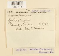 Image Associated With the Occurrence