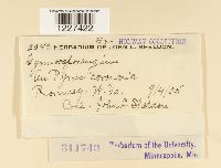 Image Associated With the Occurrence