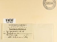 Image Associated With the Occurrence