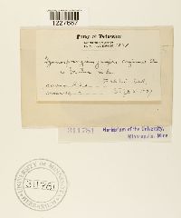 Gymnosporangium juniperi-virginianae image