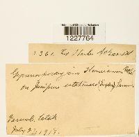 Image Associated With the Occurence