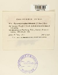 Image Associated With the Occurence