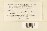 Image Associated With the Occurrence