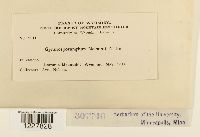 Image Associated With the Occurrence