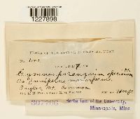 Image Associated With the Occurrence