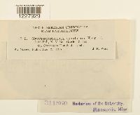 Image Associated With the Occurrence