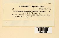 Image Associated With the Occurence