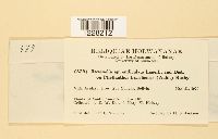 Image Associated With the Occurrence