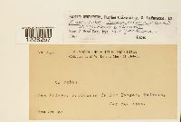 Image Associated With the Occurrence