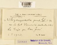 Media resource of Maravalia pura