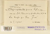 Image Associated With the Occurrence