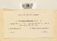 Image Associated With the Occurrence