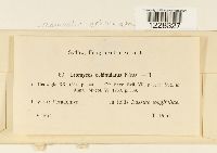 Image Associated With the Occurrence