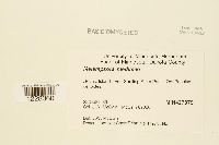 Media resource of Melampsora medusae