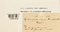 thumbnail image of current specimen