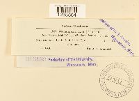 thumbnail image of current specimen