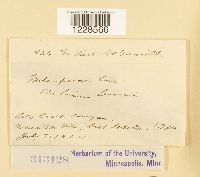 Image Associated With the Occurrence