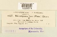 thumbnail image of current specimen