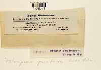 Image Associated With the Occurrence