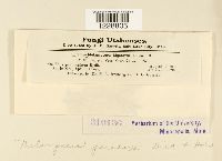 Image Associated With the Occurrence