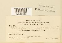 Image Associated With the Occurrence