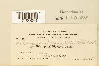 Image Associated With the Occurrence