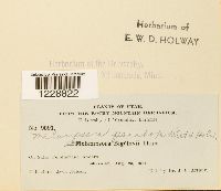 Image Associated With the Occurrence