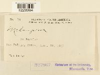 Image Associated With the Occurrence