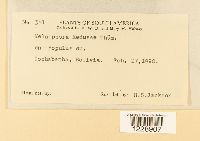 Image Associated With the Occurrence