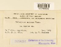 Image Associated With the Occurrence