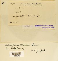 Image Associated With the Occurrence