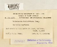 Image Associated With the Occurrence