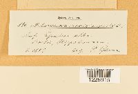 Thumbnail image of current specimen