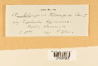 Image Associated With the Occurrence