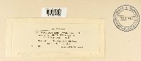 thumbnail image of current specimen