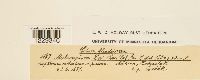thumbnail image of current specimen