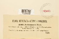 thumbnail image of current specimen